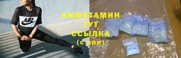 молекула духа Няндома