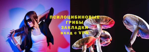молекула духа Няндома