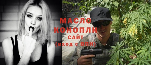 молекула духа Няндома
