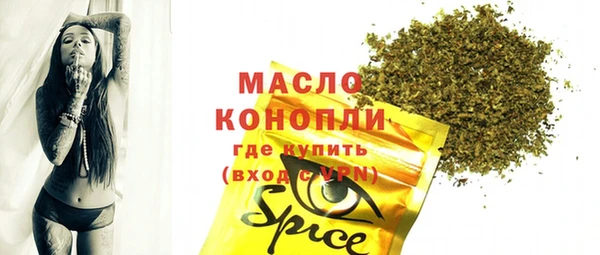молекула духа Няндома